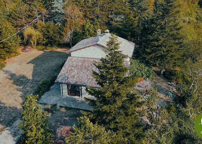 Cerfoglio, Pace Sulle Colline Romagnole *